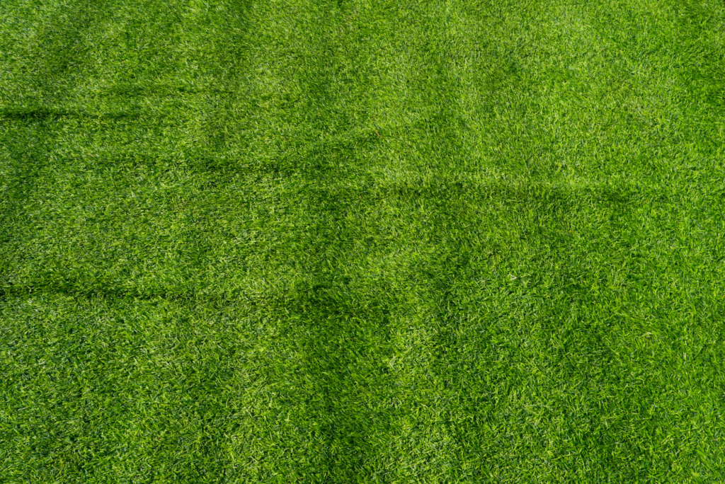 Turf Renovation and Seasonal Reset Services