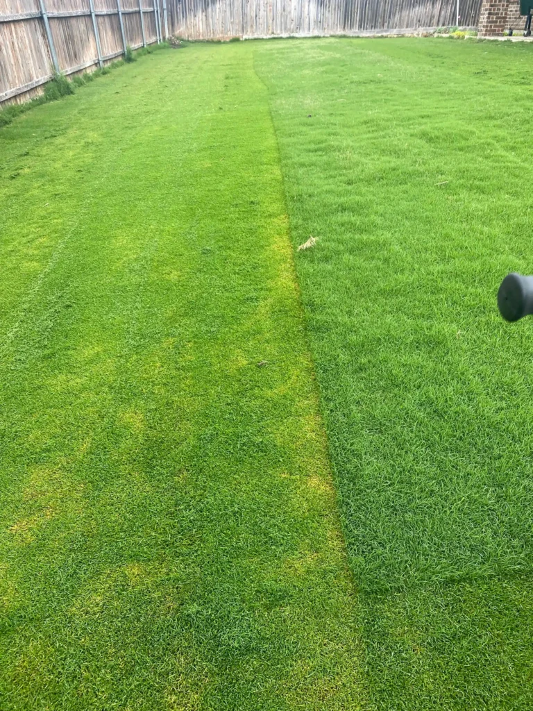 When Is the Best Time to Start a Landscaping Program?